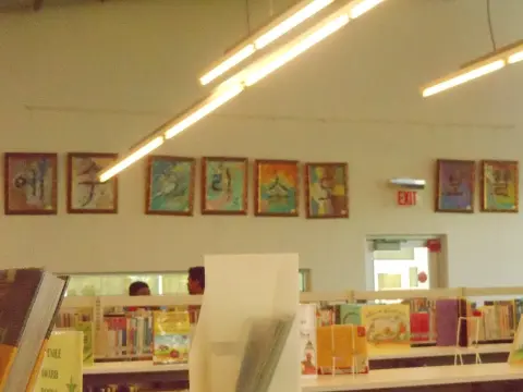 San Antonio library solo exhibition install