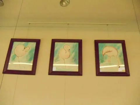 San Antonio library solo exhibition install